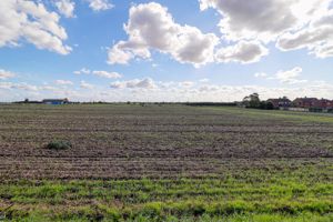 Field to the Rear- click for photo gallery